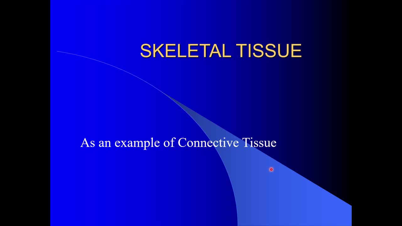 skeletal tissue 2310_captions | Lumina Media Player